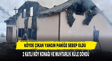 Köyde Çıkan Yangın Paniğe Sebep Oldu