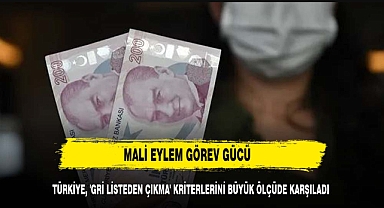 Mali Eylem Görev Gücü: Türkiye, 'gri listeden çıkma' kriterlerini büyük ölçüde karşıladı