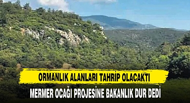 MERMER OCAĞI PROJESİNE BAKANLIK DUR DEDİ !