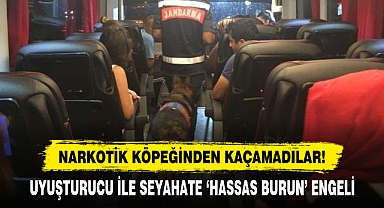 Narkotik Köpeğinden Kaçamadılar!