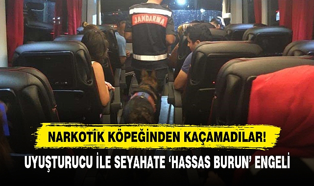 Narkotik Köpeğinden Kaçamadılar!