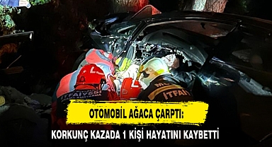 OTOMOBİL AĞACA ÇARPTI: