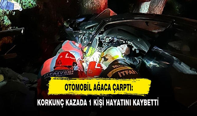 OTOMOBİL AĞACA ÇARPTI: