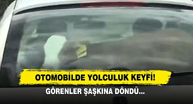 Otomobilde Yolculuk Keyfi! Görenler Şaşkına Döndü…