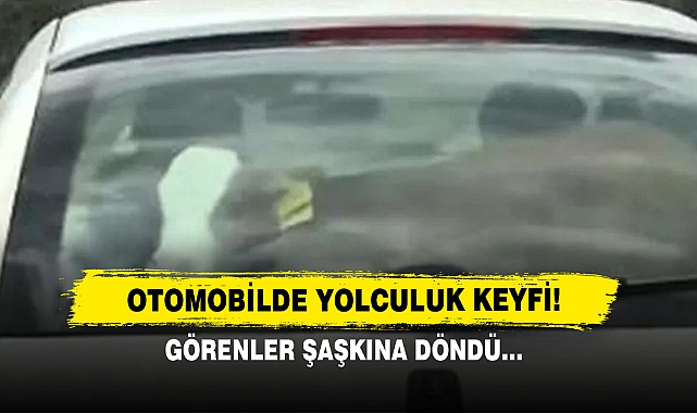 Otomobilde Yolculuk Keyfi! Görenler Şaşkına Döndü…
