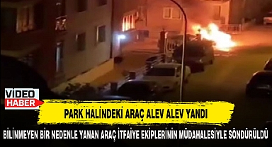 PARK HALİNDEKİ ARAÇ ALEV ALEV YANDI