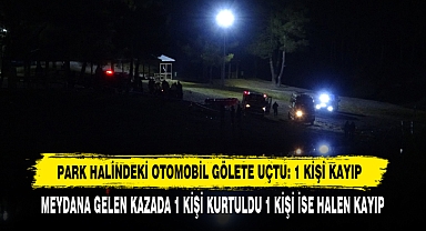 Park Halindeki Otomobil Gölete Uçtu: 1 Kişi Kayıp