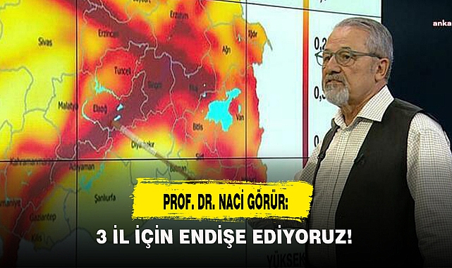PROF. DR. NACİ GÖRÜR: