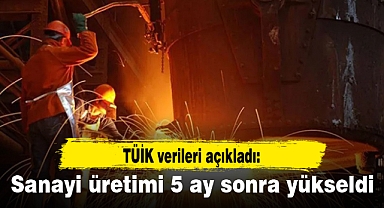 Sanayi üretimi 5 ay sonra yükseldi