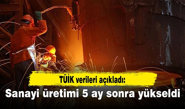 Sanayi üretimi 5 ay sonra yükseldi