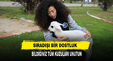 Sıra dışı Bir Dostluk