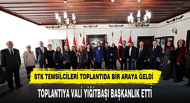 STK Temsilcileri Toplantıda Bir Araya Geldi Toplantıya Vali Yiğitbaşı Başkanlık Etti
