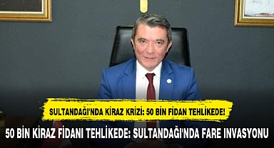 SULTANDAĞI'NDA KİRAZ KRİZİ: 50 BİN FİDAN TEHLİKEDE!