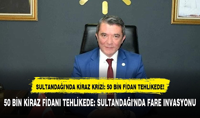 SULTANDAĞI'NDA KİRAZ KRİZİ: 50 BİN FİDAN TEHLİKEDE!