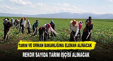 Tarım ve Orman Bakanlığı'na 1500 tarım işçisi alınacak