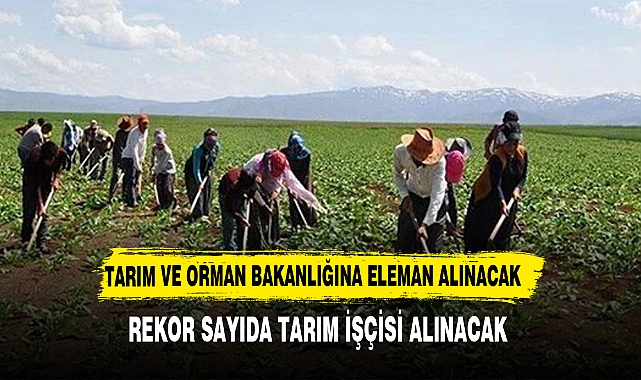 Tarım ve Orman Bakanlığı'na 1500 tarım işçisi alınacak