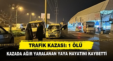 Trafik Kazası: 1 Ölü