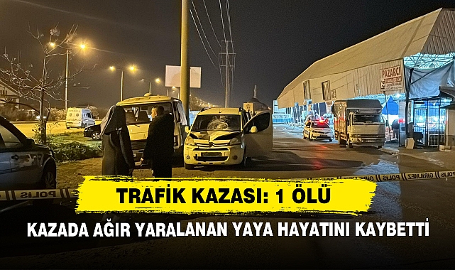 Trafik Kazası: 1 Ölü