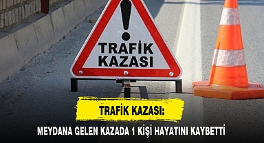 TRAFİK KAZASI: