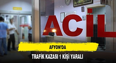 Trafik Kazasında 1 Kişi Yaralandı