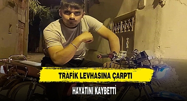 Trafik Levhasına Çarptı