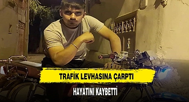 Trafik Levhasına Çarptı