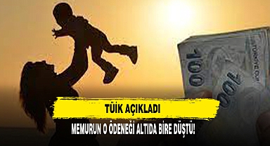 TÜİK Açıkladı