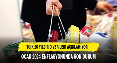 TÜİK enflasyon sepetini güncelledi