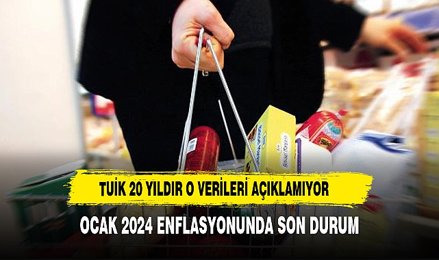TÜİK enflasyon sepetini güncelledi