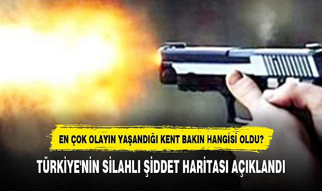 TÜRKİYE'NİN SİLAHLI ŞİDDET HARİTASI AÇIKLANDI