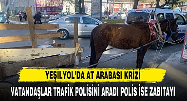 YEŞİLYOL'DA AT ARABASI KRİZİ