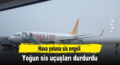 Yoğun sis uçuşları durdurdu