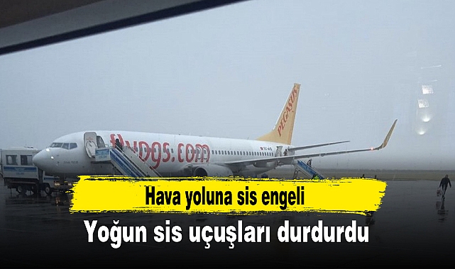 Yoğun sis uçuşları durdurdu
