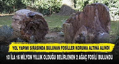 Yol Yapımı Sırasında Bulunan Fosiller Koruma Altına Alındı