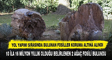 Yol Yapımı Sırasında Bulunan Fosiller Koruma Altına Alındı