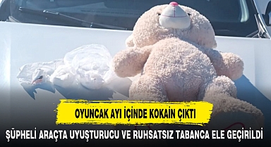OYUNCAK AYI İÇİNDE KOKAİN ÇIKTI
