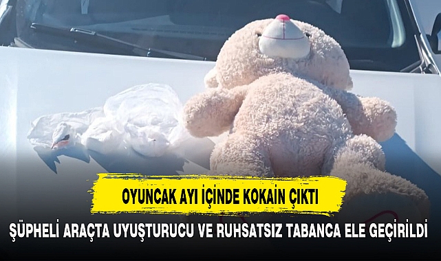OYUNCAK AYI İÇİNDE KOKAİN ÇIKTI