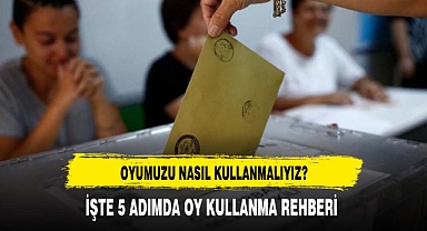 5 ADIMDA OY KULLANMA REHBERİ