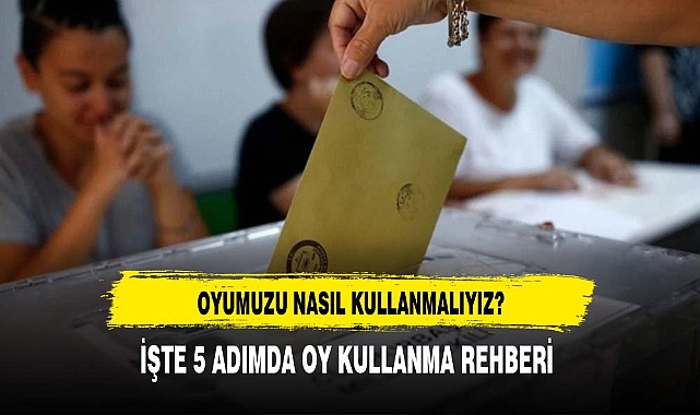 5 ADIMDA OY KULLANMA REHBERİ