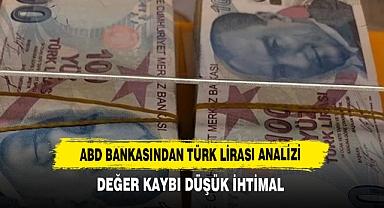 ABD Bankasından Türk Lirası Analizi