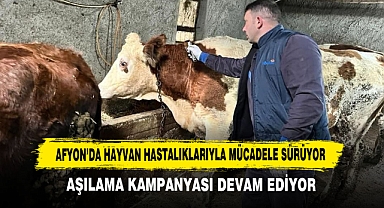 Afyon’da Hayvan Hastalıklarıyla Mücadele Sürüyor