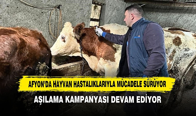 Afyon’da Hayvan Hastalıklarıyla Mücadele Sürüyor