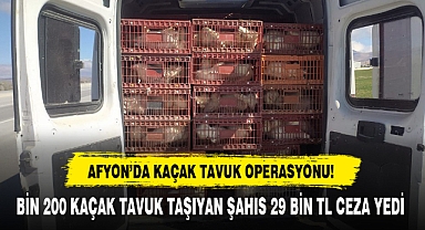 AFYON'DA KAÇAK TAVUK OPERASYONU!