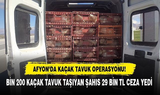 AFYON'DA KAÇAK TAVUK OPERASYONU!
