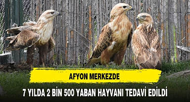 AFYON MERKEZDE 7 YILDA 2 BİN 500 YABAN HAYVANI TEDAVİ EDİLDİ