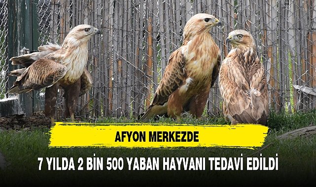 AFYON MERKEZDE 7 YILDA 2 BİN 500 YABAN HAYVANI TEDAVİ EDİLDİ