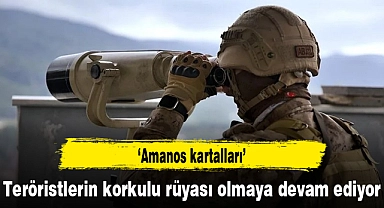 "Amanos kartalları" teröristlerin korkulu rüyası olmaya devam ediyor