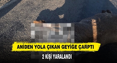 Aniden Yola Çıkan Geyiğe Çarptı