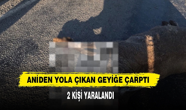 Aniden Yola Çıkan Geyiğe Çarptı