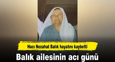 Balık ailesinin acı günü